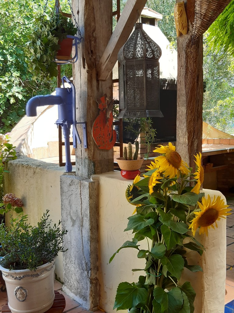 Tournesols sur la terrasse